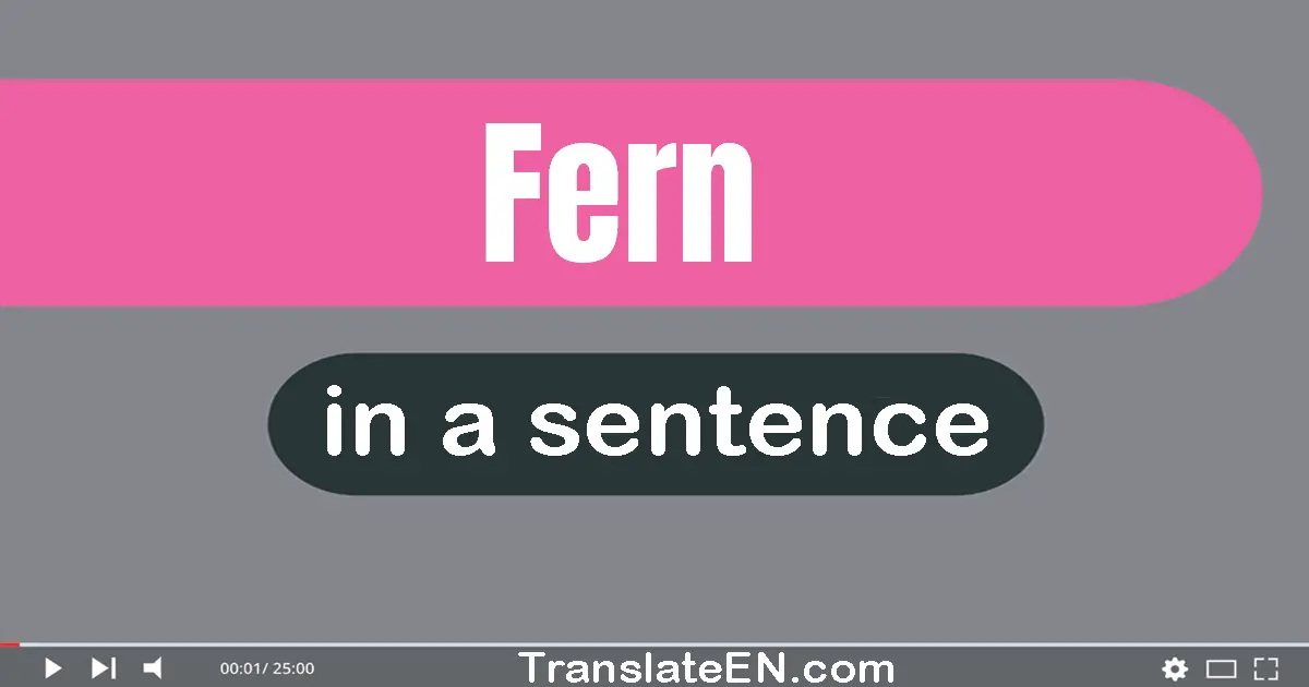 Use "fern" in a sentence | "fern" sentence examples