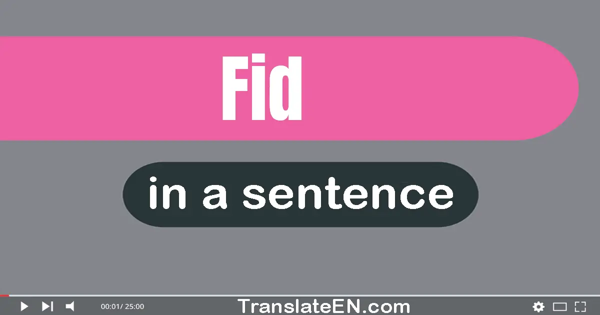 Use "fid" in a sentence | "fid" sentence examples