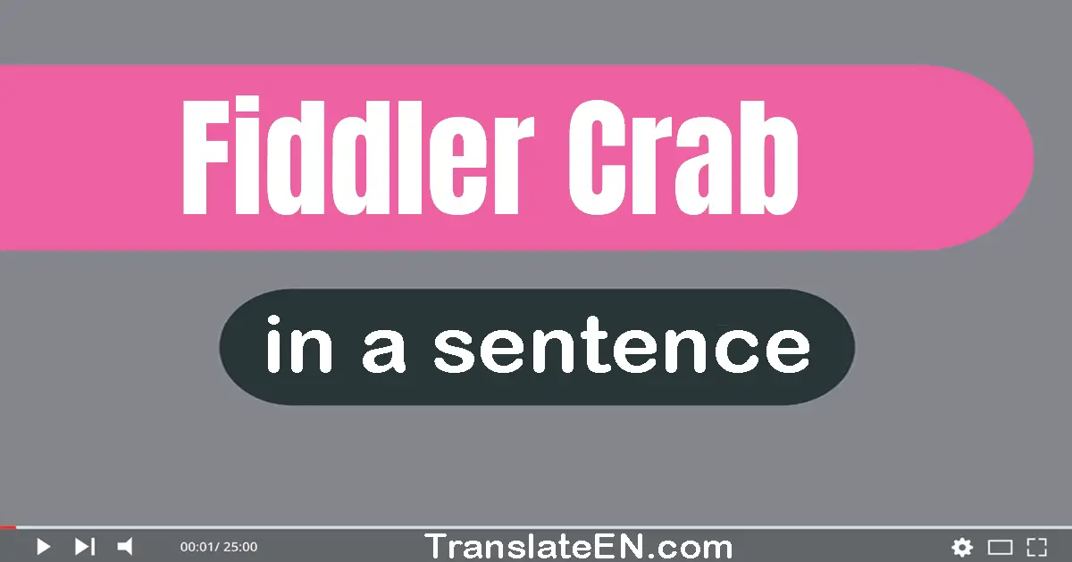 Use "fiddler crab" in a sentence | "fiddler crab" sentence examples
