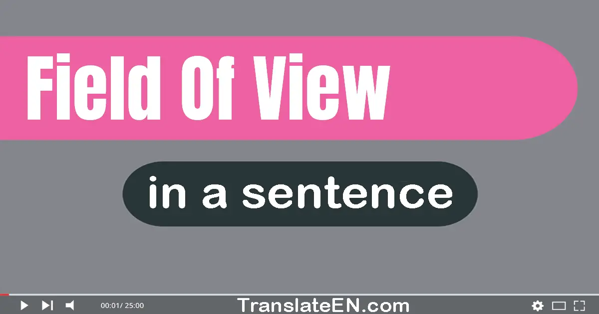 Use "field of view" in a sentence | "field of view" sentence examples
