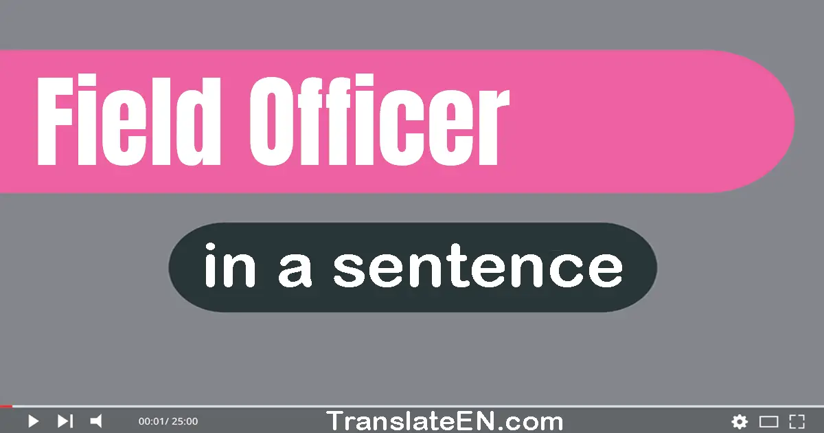 Use "field officer" in a sentence | "field officer" sentence examples