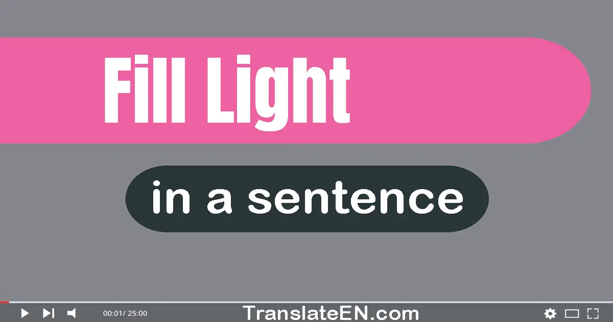 Use "fill light" in a sentence | "fill light" sentence examples
