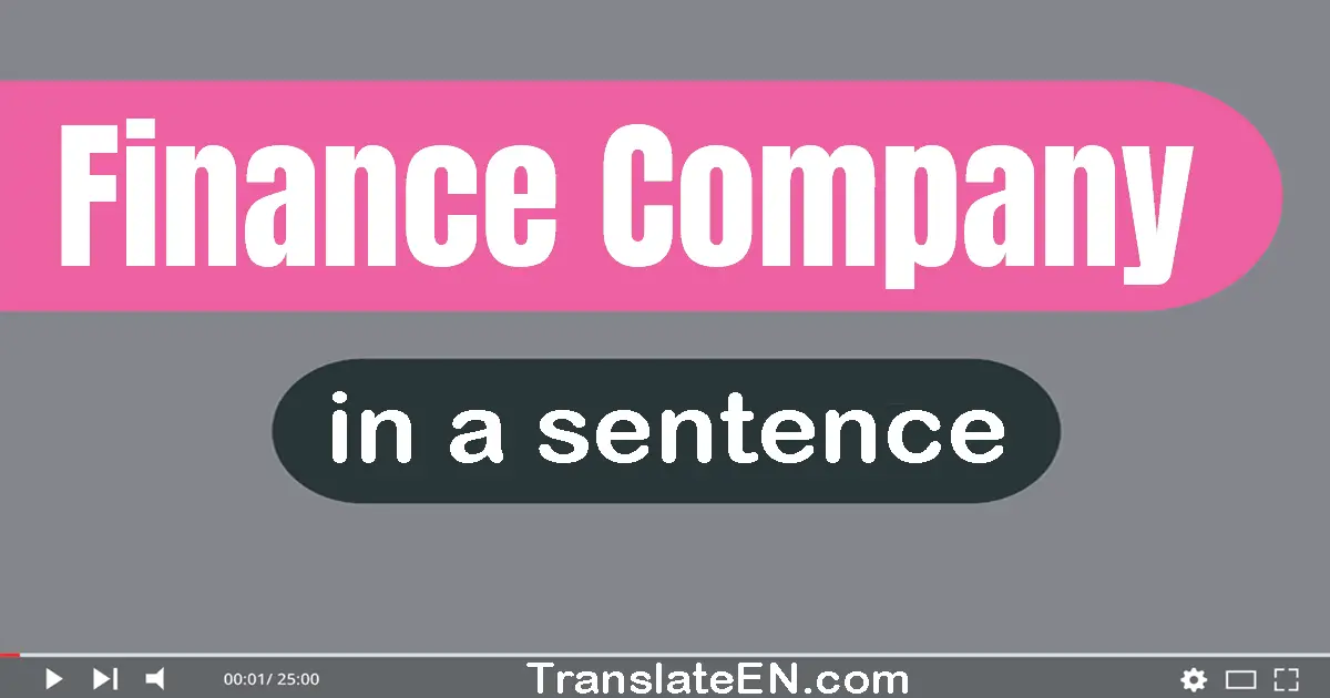Use "finance company" in a sentence | "finance company" sentence examples