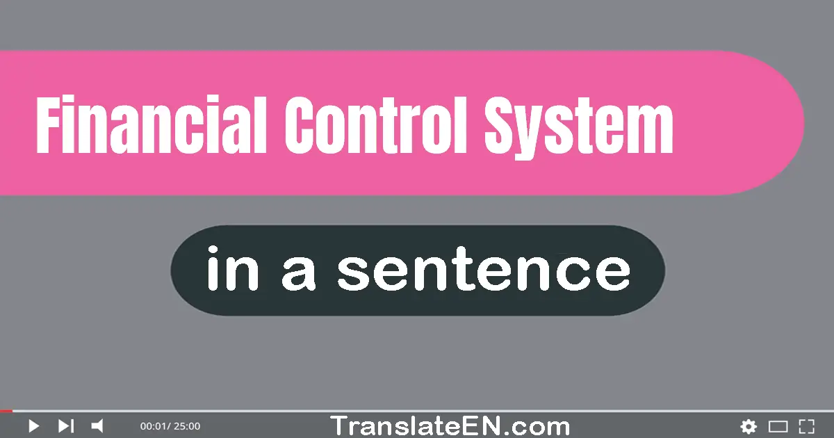 Use "financial control system" in a sentence | "financial control system" sentence examples