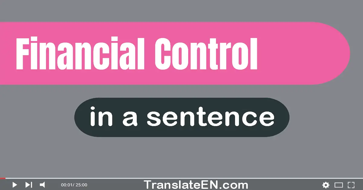 Use "financial control" in a sentence | "financial control" sentence examples