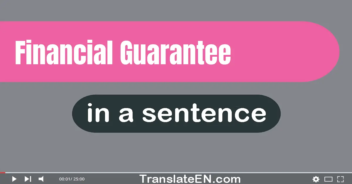 Use "financial guarantee" in a sentence | "financial guarantee" sentence examples