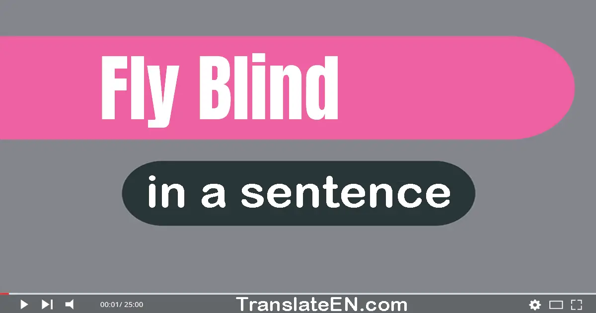 Use "fly blind" in a sentence | "fly blind" sentence examples