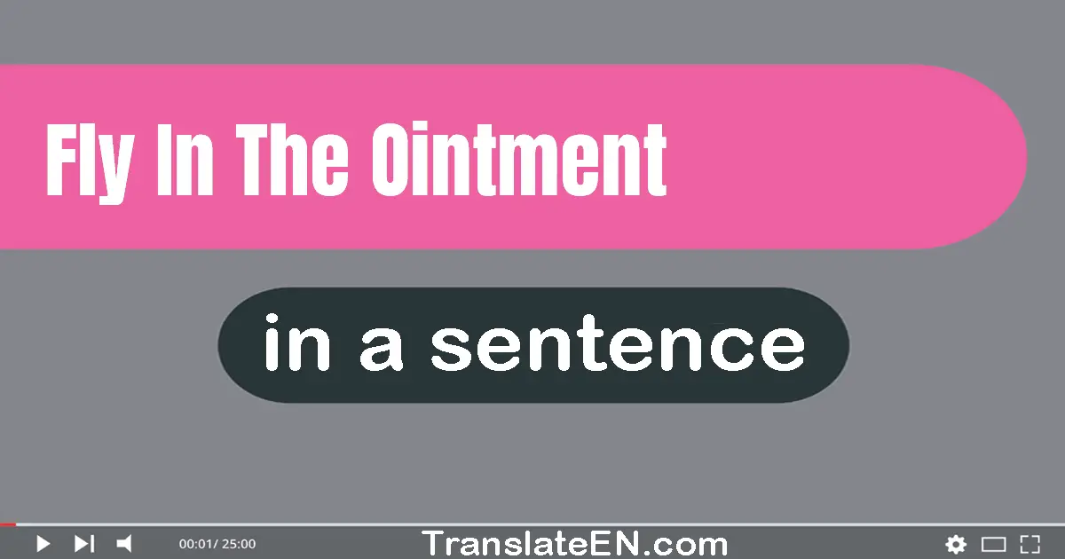 Use "fly in the ointment" in a sentence | "fly in the ointment" sentence examples