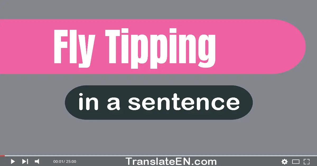 Use "fly-tipping" in a sentence | "fly-tipping" sentence examples