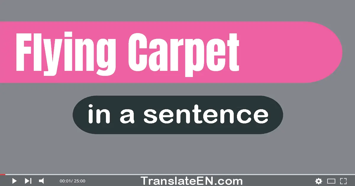 Use "flying carpet" in a sentence | "flying carpet" sentence examples