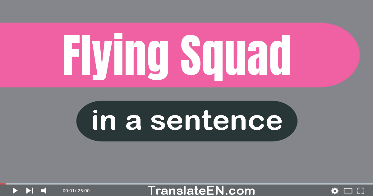 Use "flying squad" in a sentence | "flying squad" sentence examples