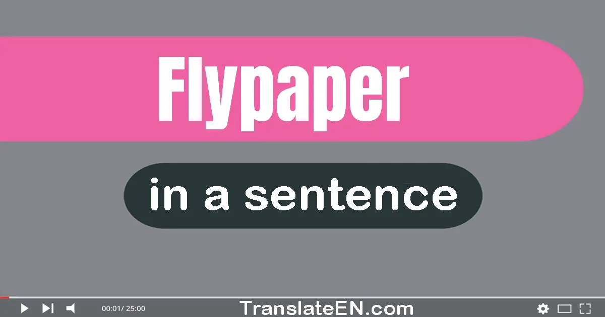 Use "flypaper" in a sentence | "flypaper" sentence examples