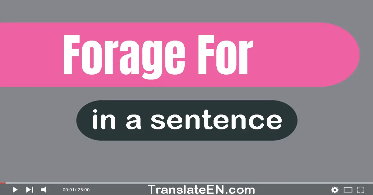 Use "forage for" in a sentence | "forage for" sentence examples