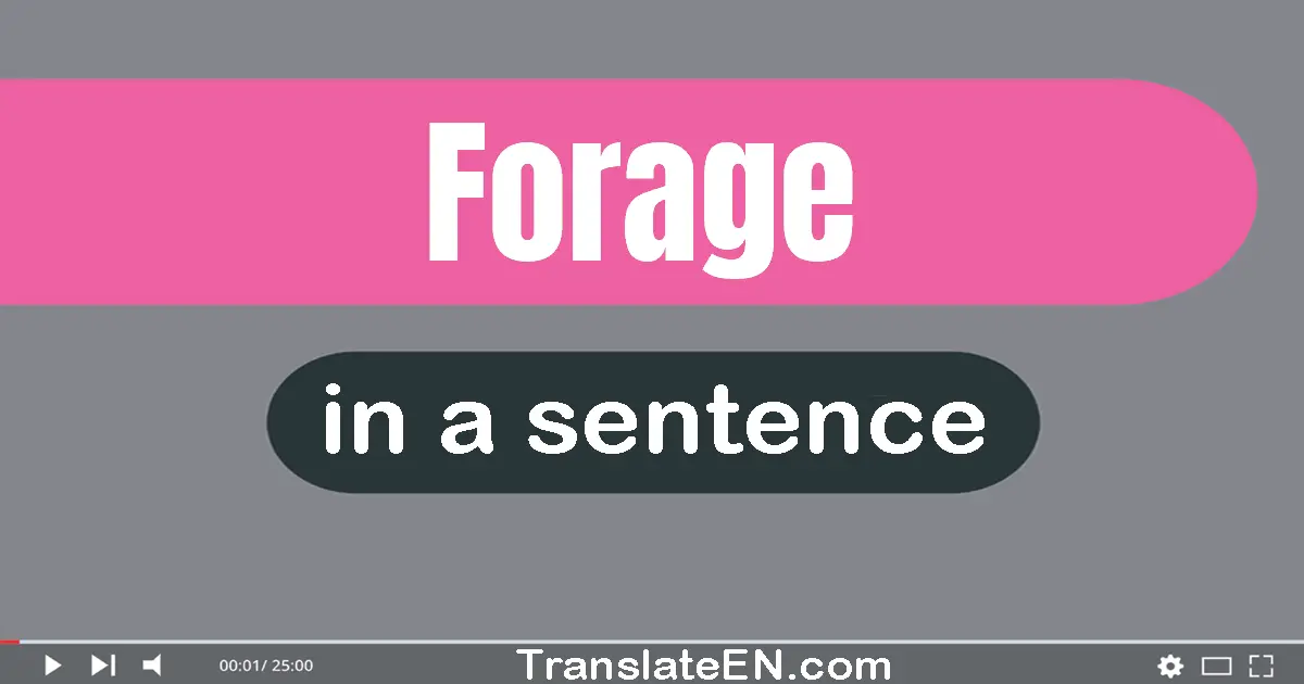 Use "forage" in a sentence | "forage" sentence examples