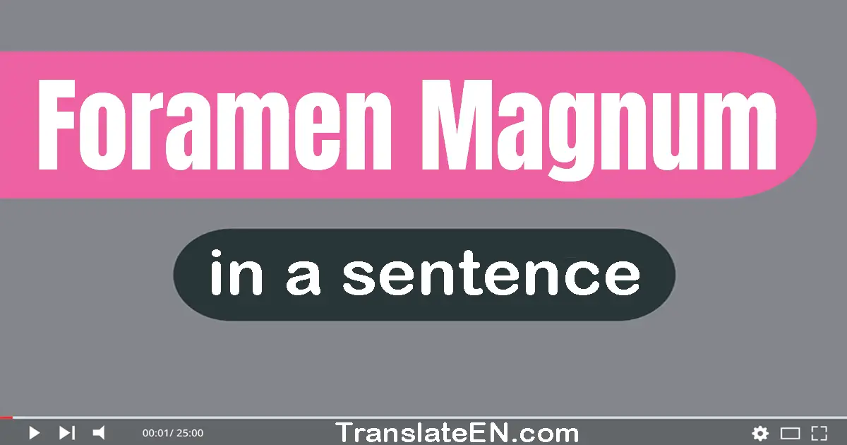 Use "foramen magnum" in a sentence | "foramen magnum" sentence examples