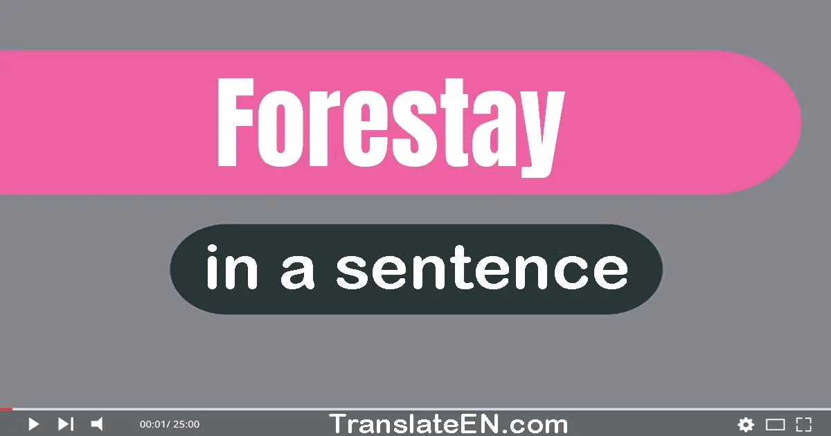 Use "forestay" in a sentence | "forestay" sentence examples