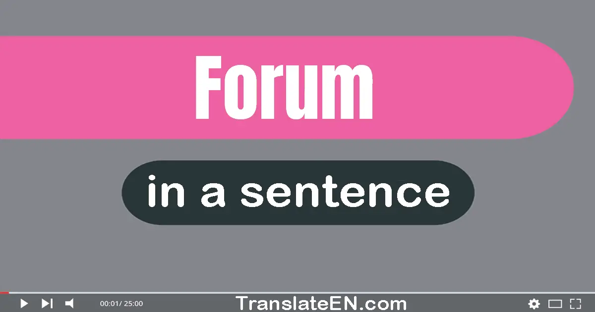 Use "forum" in a sentence | "forum" sentence examples