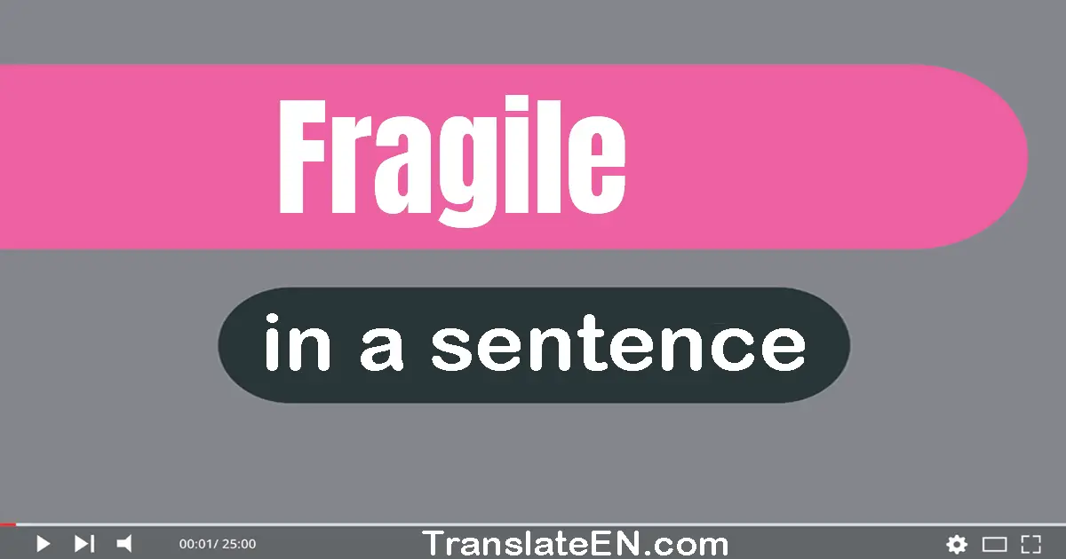 Use "fragile" in a sentence | "fragile" sentence examples