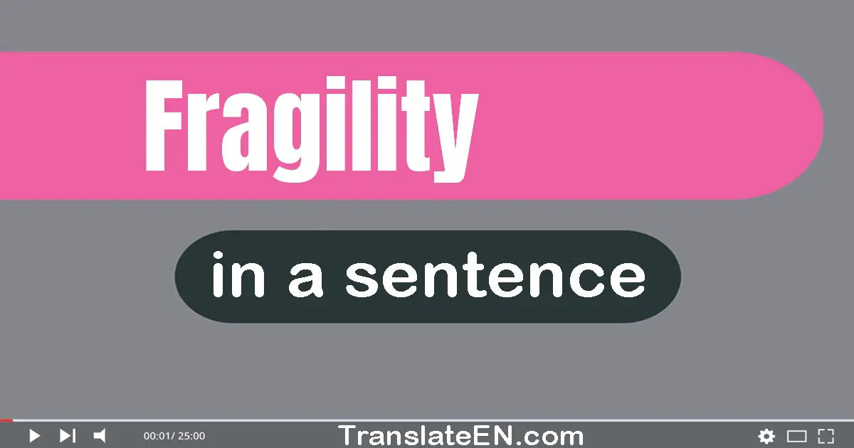 Use "fragility" in a sentence | "fragility" sentence examples