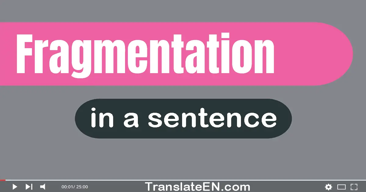 Use "fragmentation" in a sentence | "fragmentation" sentence examples