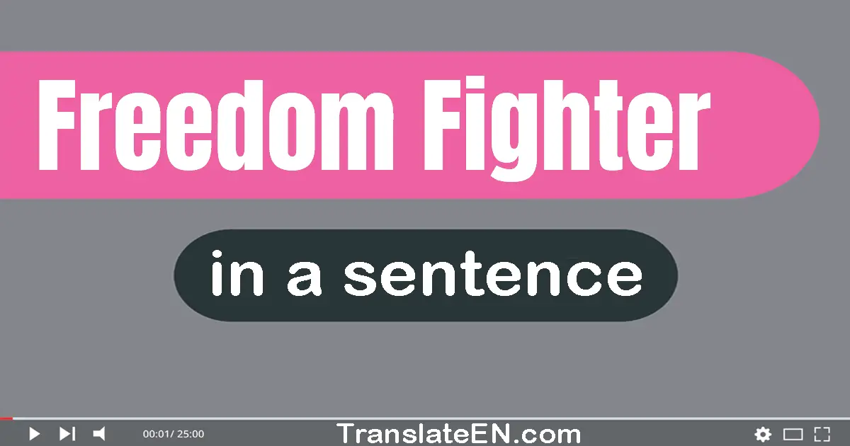 Use "freedom fighter" in a sentence | "freedom fighter" sentence examples