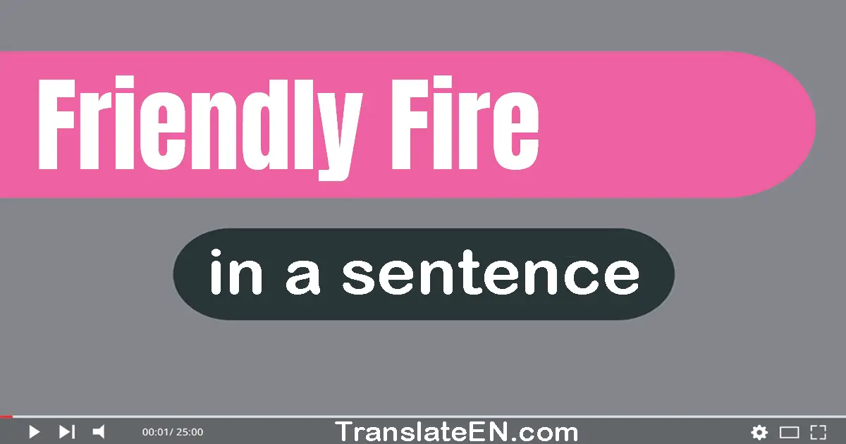 Use "friendly fire" in a sentence | "friendly fire" sentence examples