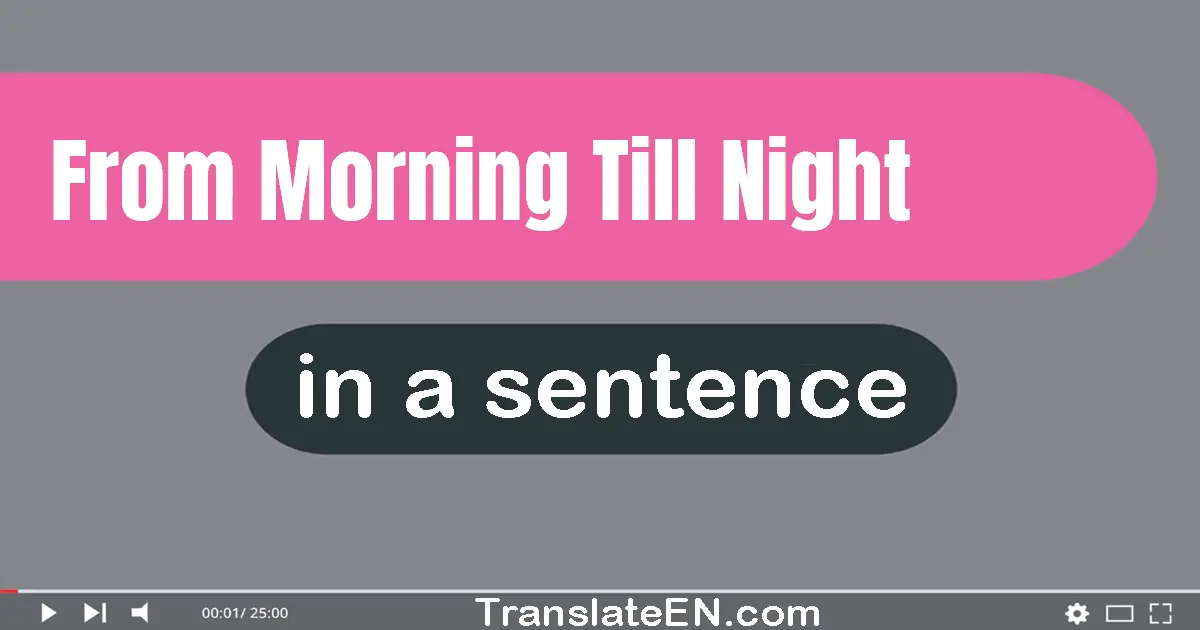 Use "from morning till night" in a sentence | "from morning till night" sentence examples