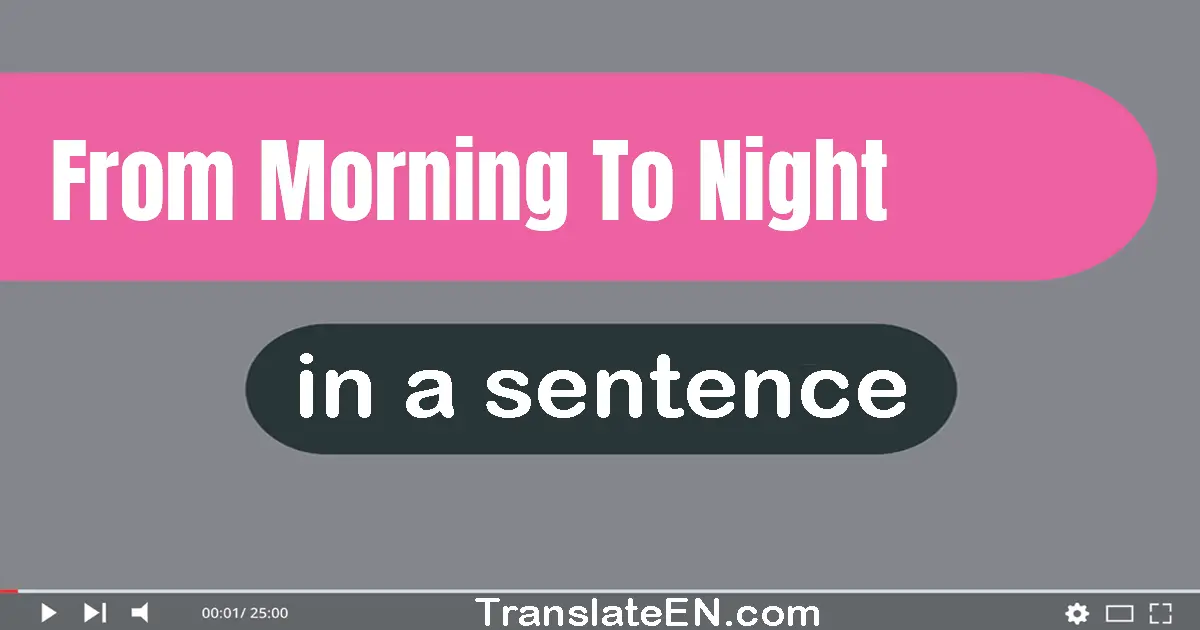 Use "from morning to night" in a sentence | "from morning to night" sentence examples