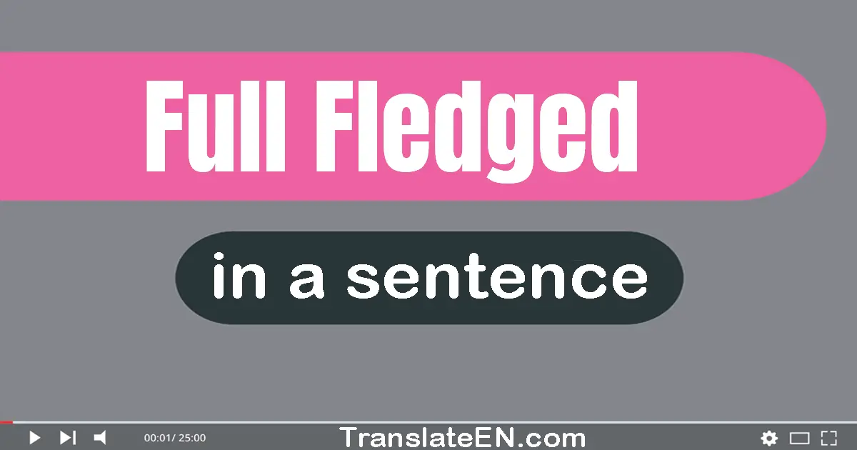 Use "full-fledged" in a sentence | "full-fledged" sentence examples