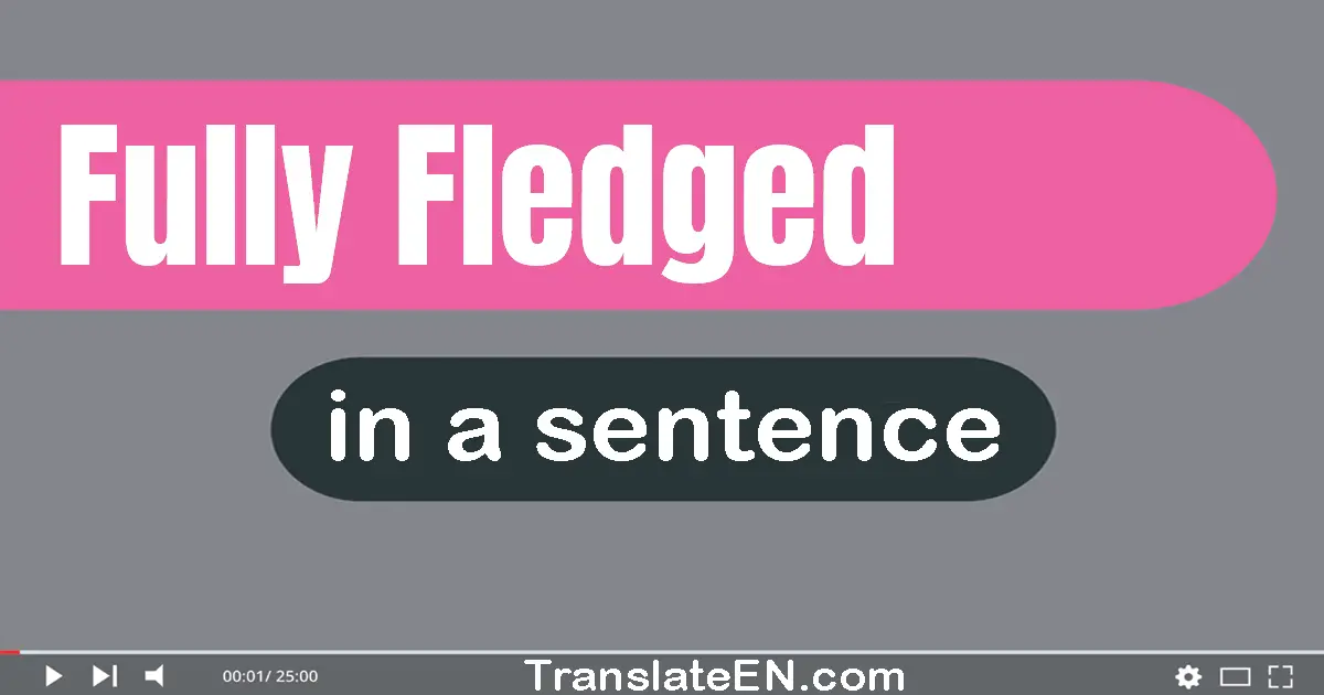 Use "fully-fledged" in a sentence | "fully-fledged" sentence examples
