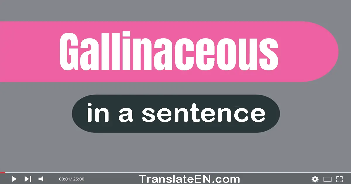 Use "gallinaceous" in a sentence | "gallinaceous" sentence examples