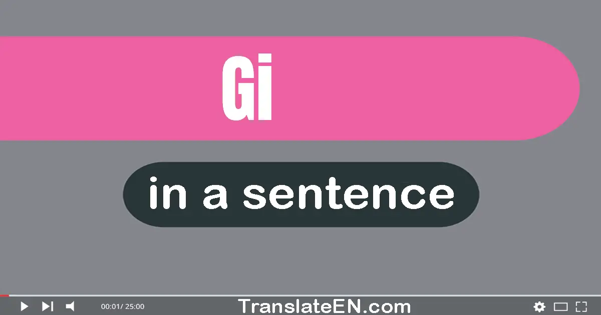 Use "gi" in a sentence | "gi" sentence examples