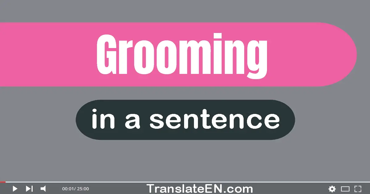 Use "grooming" in a sentence | "grooming" sentence examples