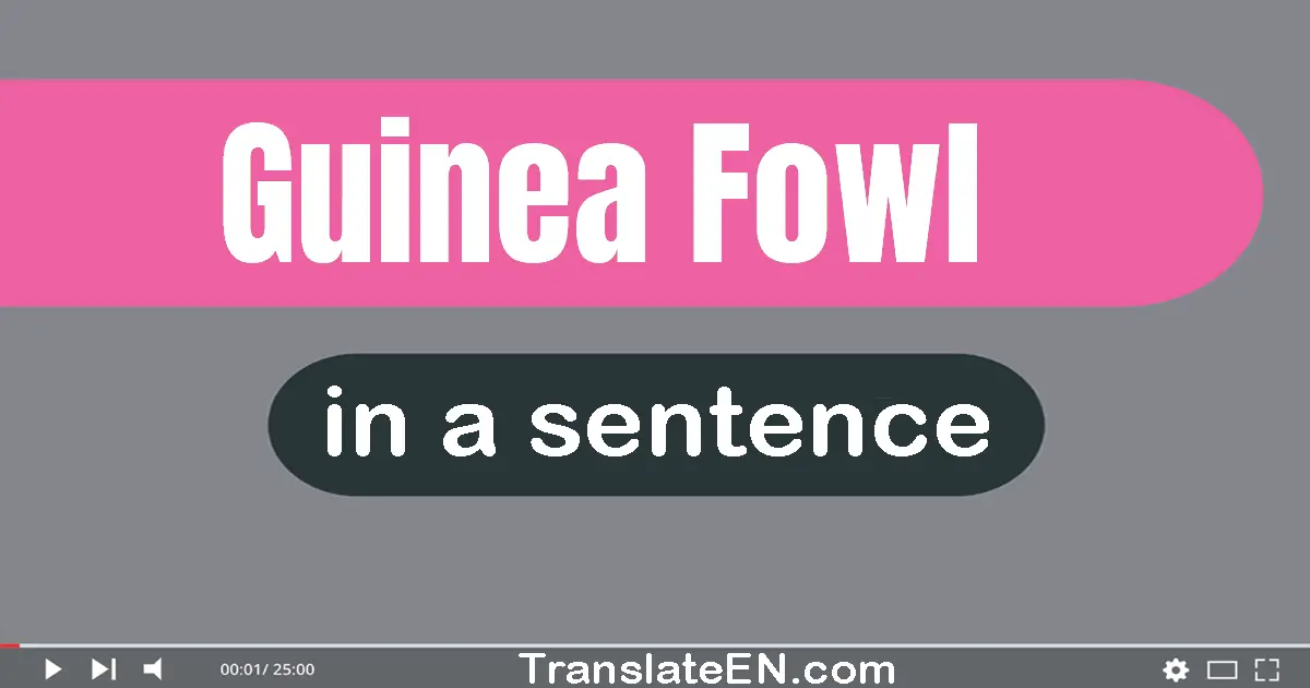 Use "guinea fowl" in a sentence | "guinea fowl" sentence examples