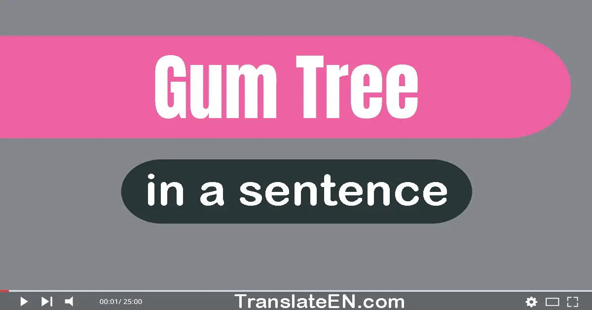 Use "gum tree" in a sentence | "gum tree" sentence examples
