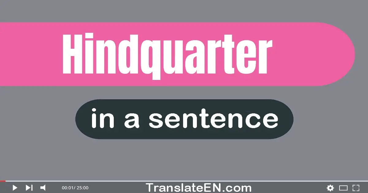 Use "hindquarter" in a sentence | "hindquarter" sentence examples