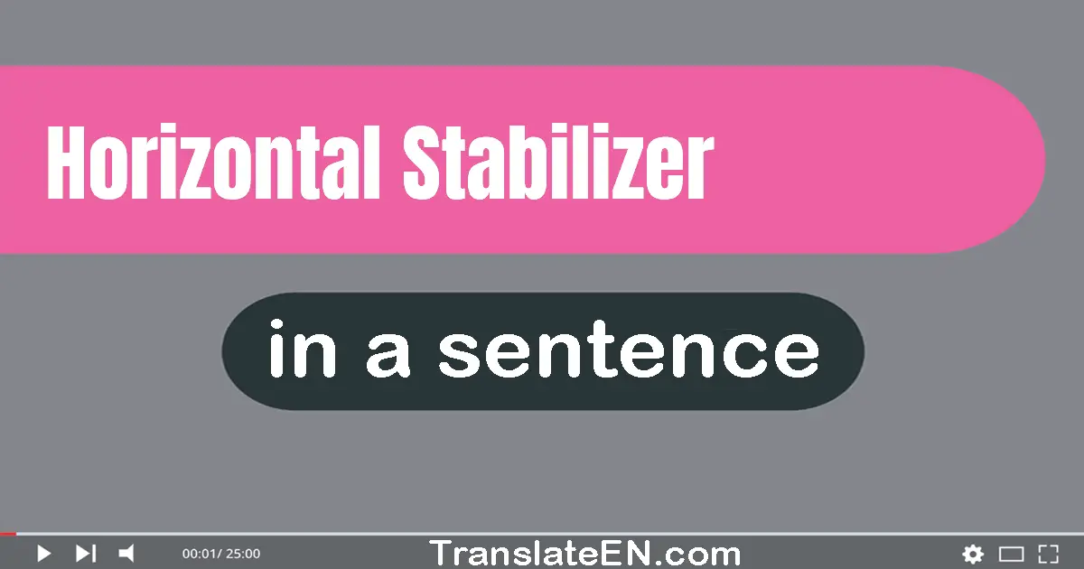 Use "horizontal stabilizer" in a sentence | "horizontal stabilizer" sentence examples