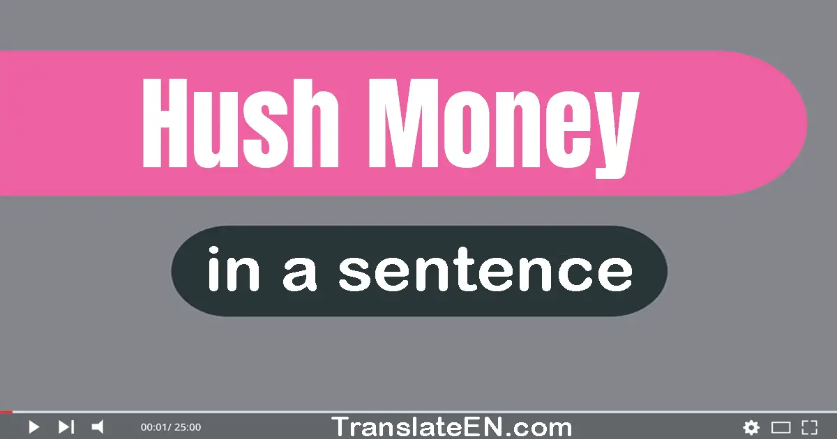 Use "hush money" in a sentence | "hush money" sentence examples
