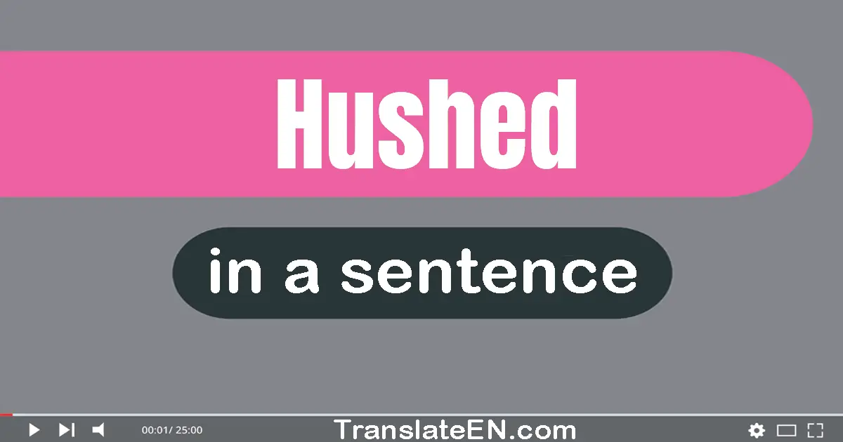 Use "hushed" in a sentence | "hushed" sentence examples