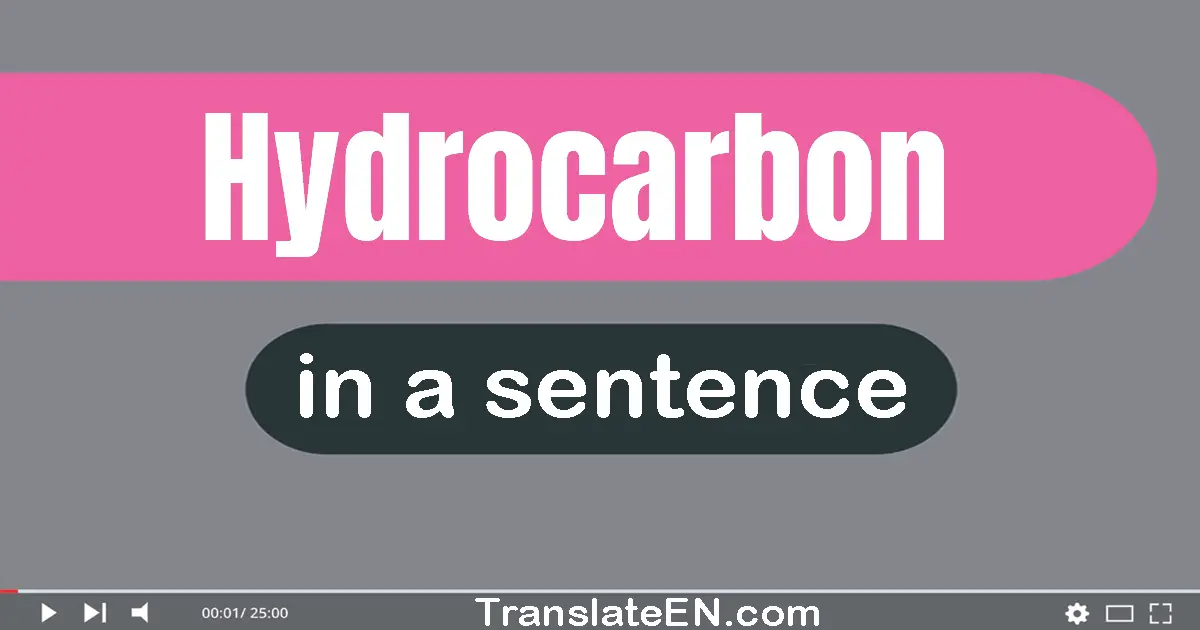 Use "hydrocarbon" in a sentence | "hydrocarbon" sentence examples