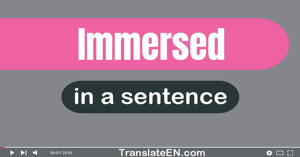 Use "immersed" in a sentence | "immersed" sentence examples