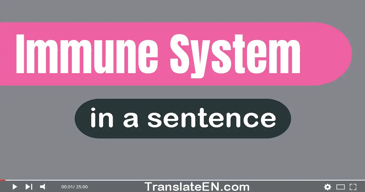 Use "immune system" in a sentence | "immune system" sentence examples
