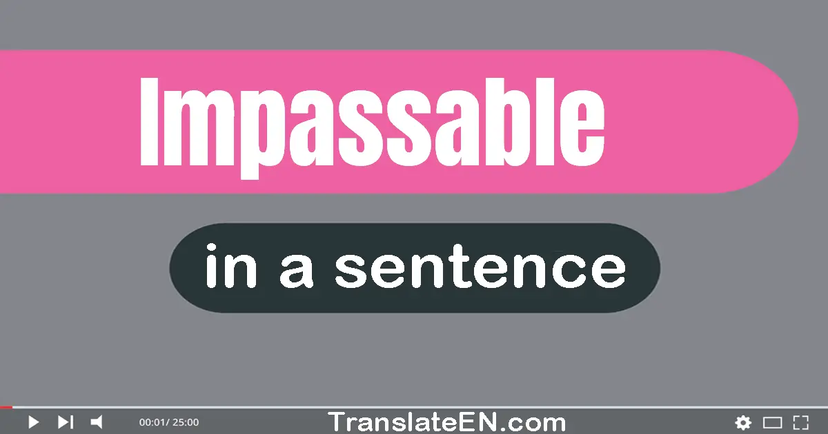 Use "impassable" in a sentence | "impassable" sentence examples