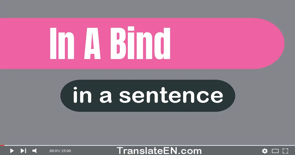 Use "in a bind" in a sentence | "in a bind" sentence examples