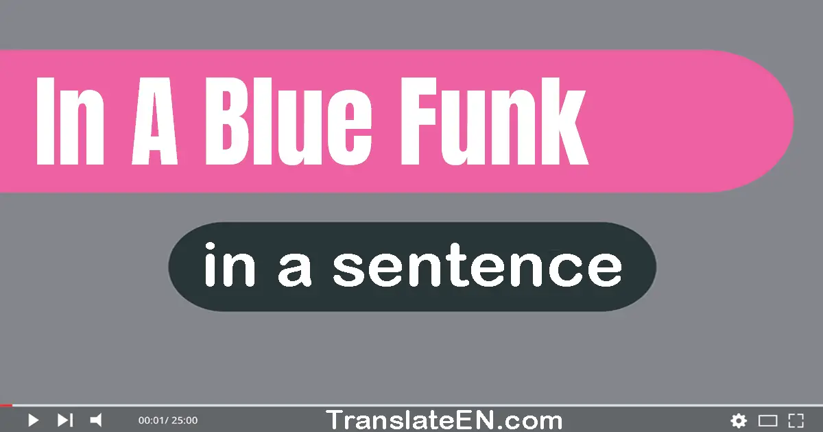 Use "in a blue funk" in a sentence | "in a blue funk" sentence examples
