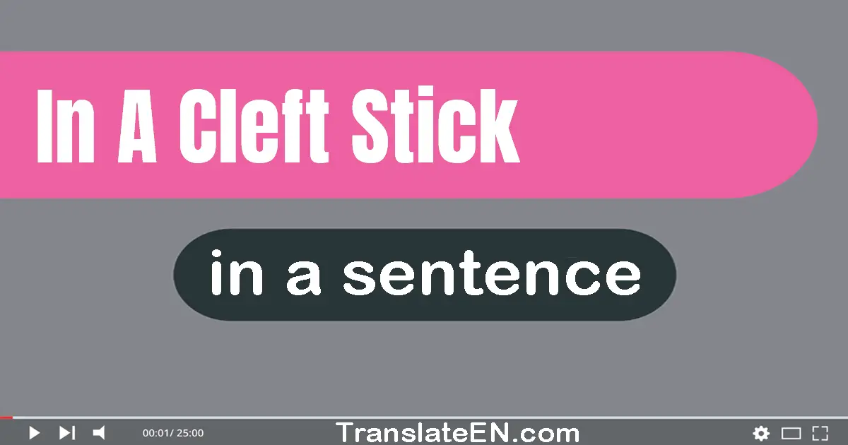Use "in a cleft stick" in a sentence | "in a cleft stick" sentence examples