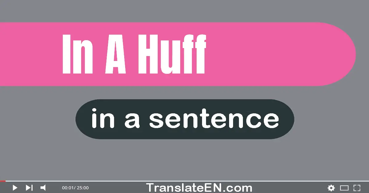 Use "in a huff" in a sentence | "in a huff" sentence examples