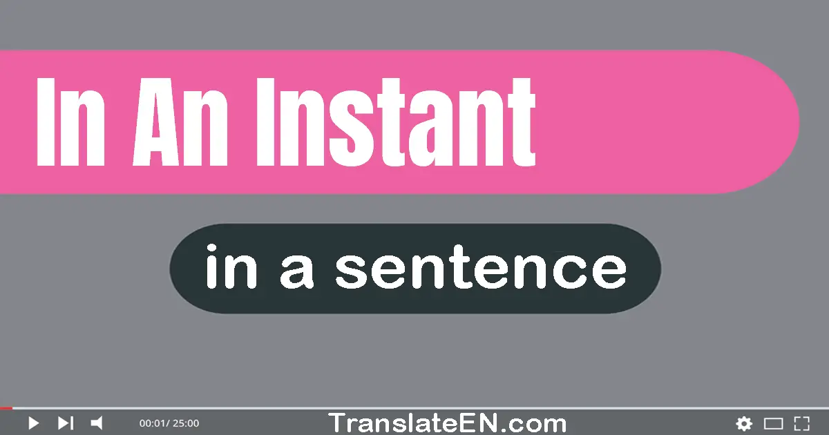 Use "in an instant" in a sentence | "in an instant" sentence examples