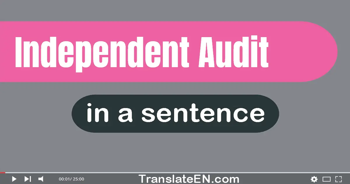 Use "independent audit" in a sentence | "independent audit" sentence examples