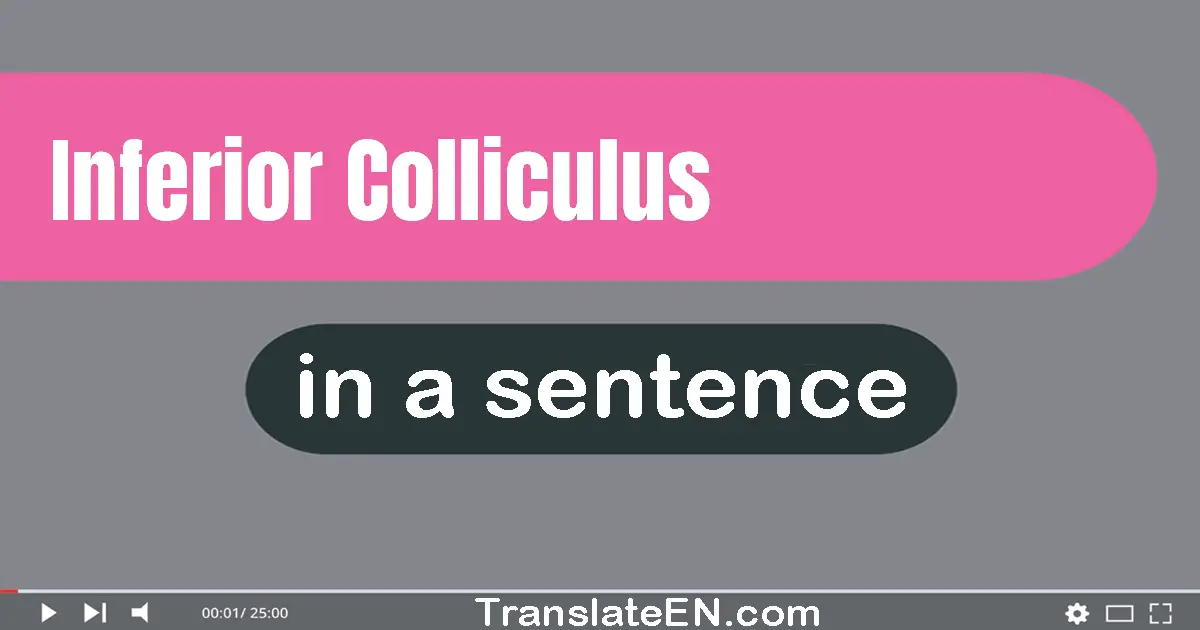 Use "inferior colliculus" in a sentence | "inferior colliculus" sentence examples